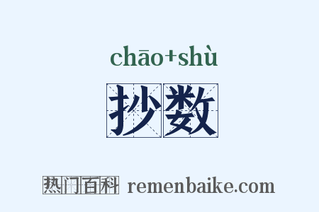抄数是什么意思的图片